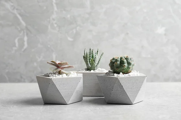 Belas plantas suculentas em vasos elegantes na mesa contra fundo cinza, espaço para texto. Decoração de casa — Fotografia de Stock