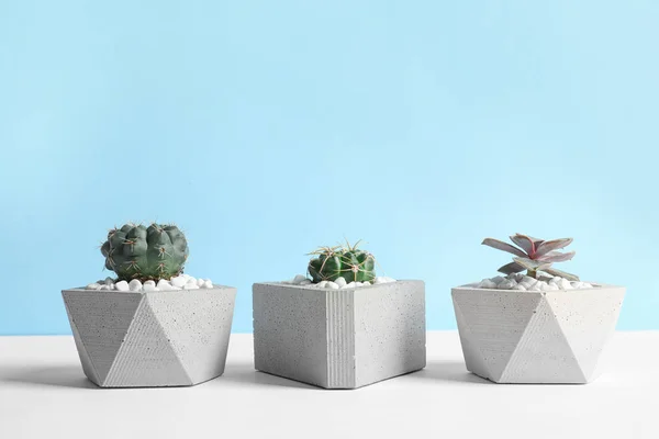 Belas plantas suculentas em vasos elegantes na mesa contra fundo azul, espaço para texto. Decoração de casa — Fotografia de Stock