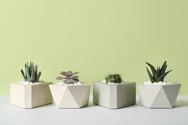 Belas plantas suculentas em vasos elegantes na mesa contra fundo verde, espaço para texto. Decoração de casa — Fotografia de Stock