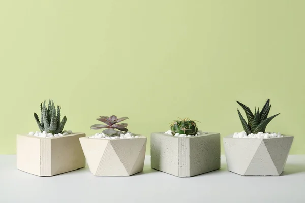 Hermosas plantas suculentas en macetas elegantes en la mesa sobre fondo verde, espacio para el texto. Decoración del hogar — Foto de Stock