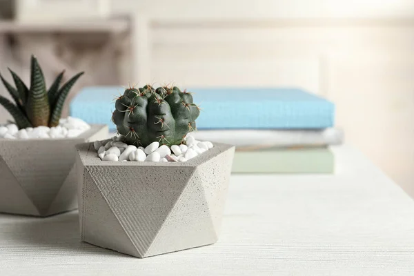 Indah tanaman lezat dalam stylish pot bunga di meja dalam ruangan, ruang untuk teks. Dekorasi rumah — Stok Foto