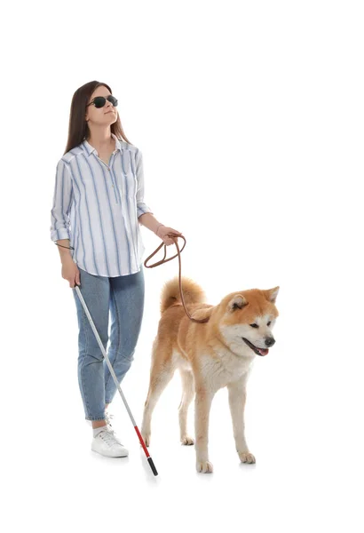 Mujer ciega con bastón y perro con correa contra fondo blanco — Foto de Stock