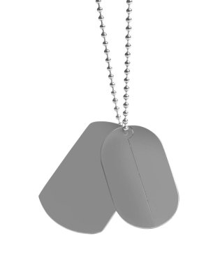 Boş askeri Kimlik etiketleri beyaz izole