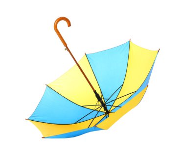 Modern açık parlak şemsiye beyaz izole