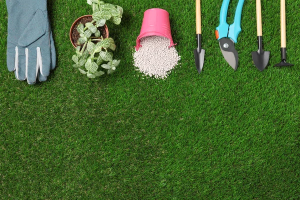 Επίπεδη σύσταση σύνθεση με εργαλεία κηπουρικής, χημικό λίπασμα και φυτό σε πράσινο γρασίδι. Χώρος για κείμενο — Φωτογραφία Αρχείου