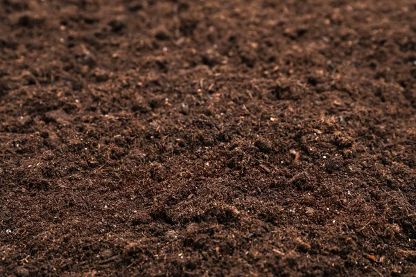 Φρέσκο χώμα για κηπουρική ως φόντο, κοντινό πλάνο — Φωτογραφία Αρχείου