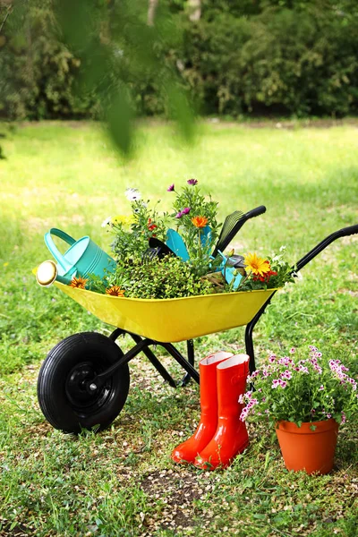 Тачка с садовыми инструментами и цветами на траве снаружи — стоковое фото
