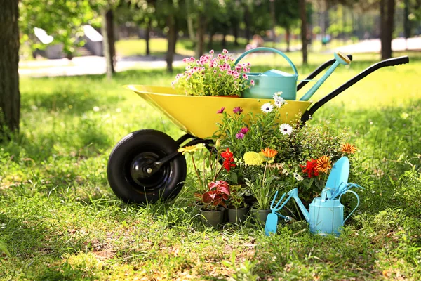 Καροτσάκι με εργαλεία κηπουρικής και λουλούδια στο γρασίδι έξω — Φωτογραφία Αρχείου