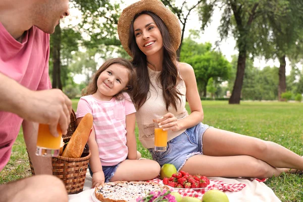 Nyári napon a kellemes családi piknik a parkban — Stock Fotó