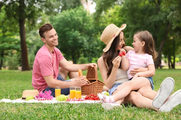 Familie fericită cu picnic în parc în ziua de vară — Fotografie, imagine de stoc