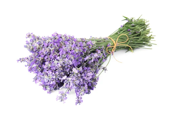 Hermosas flores de lavanda tierna sobre fondo blanco —  Fotos de Stock