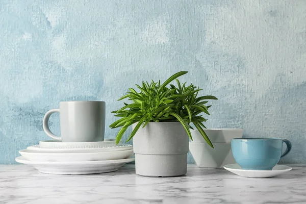 Green plant and different kitchenware on table near color wall. Modern interior design — Stock Photo, Image