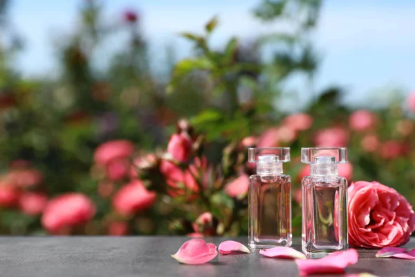 Bouteilles avec parfum et rose fraîche sur la table sur fond flou, espace pour le texte. Huile essentielle naturelle — Photo