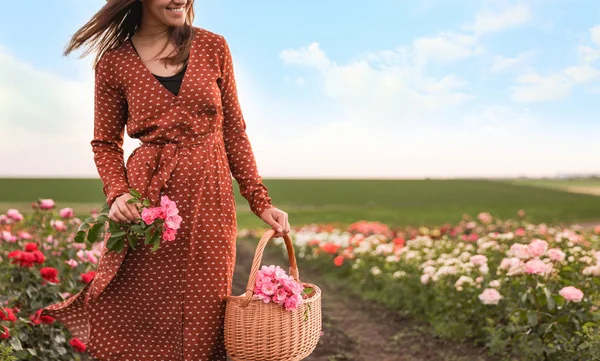 Wanita dengan keranjang mawar di bidang mekar yang indah, menutup — Stok Foto