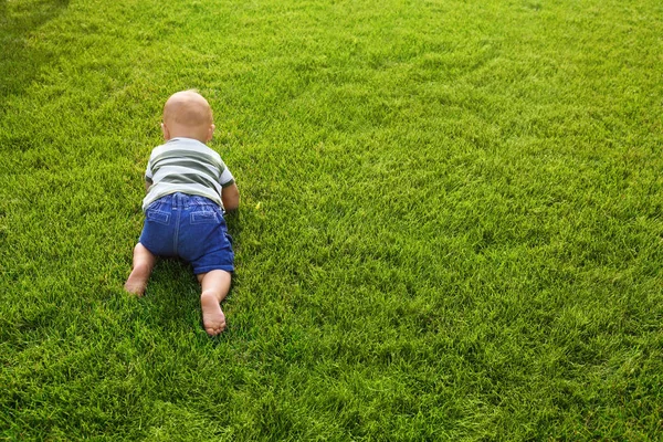屋外の緑の草の上を這う愛らしい小さな赤ちゃん — ストック写真