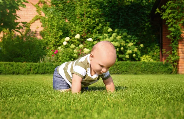 Urocze małe dziecko pełzające na zielonej trawie na zewnątrz — Zdjęcie stockowe
