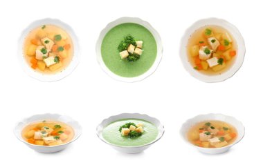 Beyaz arka planda farklı taze ev yapımı çorbalar seti
