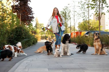 Genç kadın parkta sevimli köpekler yürüyüş