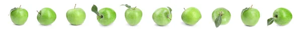 Σετ ζουμερά φρέσκα πράσινα μήλα σε λευκό φόντο. Σχεδιασμός banner — Φωτογραφία Αρχείου