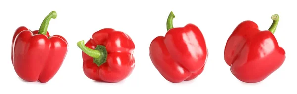 Uppsättning av färsk röd paprika på vit bakgrund. Banner design — Stockfoto