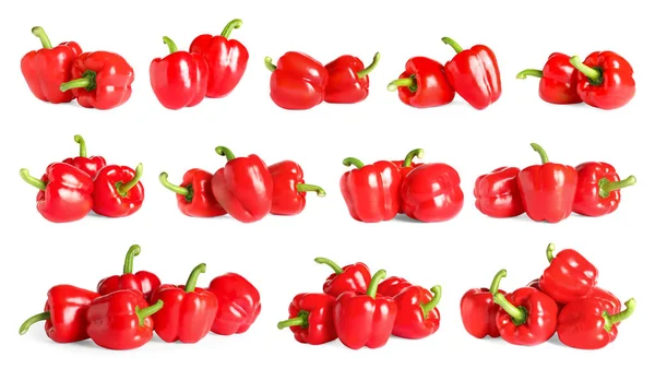 Uppsättning färsk röd paprika på vit bakgrund — Stockfoto