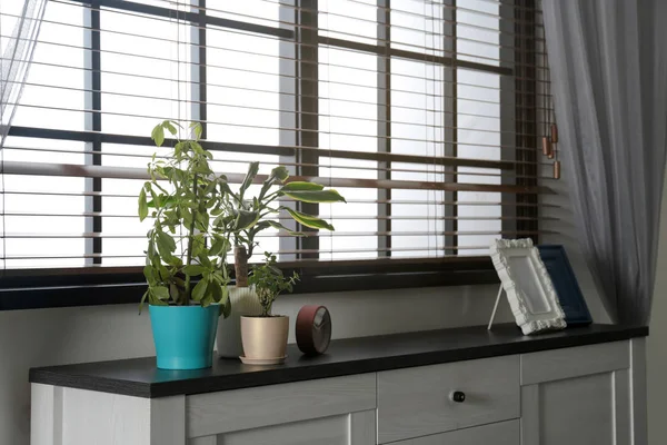 Moderne kast met potplanten, fotolijsten en klok in de buurt van raam in kamer interieur — Stockfoto