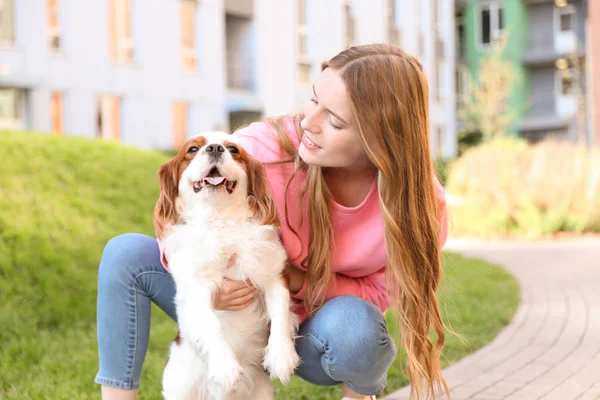 Young woman with adorable Cavalier King Charles Spaniel dog outdoors — Stock Photo, Image