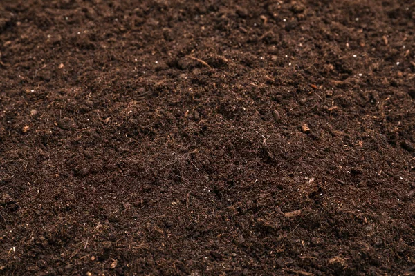 Fresh soil for gardening as background, closeup — Stock Photo, Image