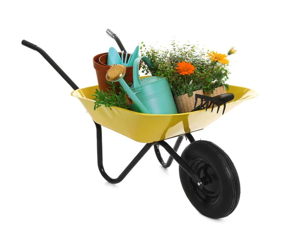 Wheelbarrow with flowers and gardening tools isolated on white — Stock Photo, Image