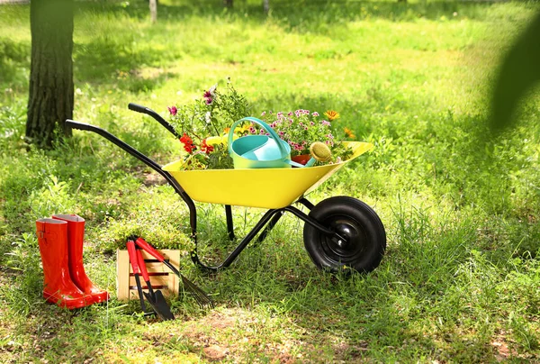 Wheelbarrow with gardening tools and flowers on grass outside — Stock Photo, Image