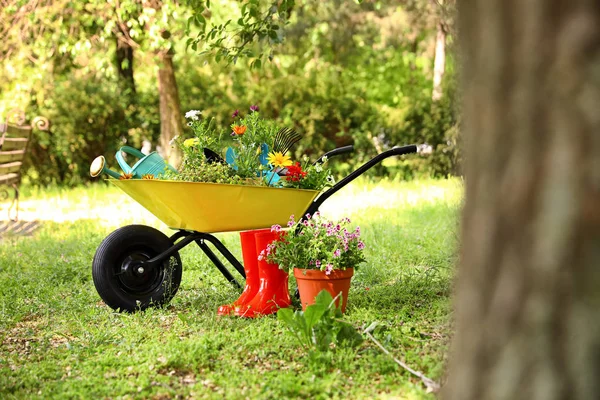 Brouette avec outils de jardinage et des fleurs sur l'herbe à l'extérieur. Espace pour le texte — Photo