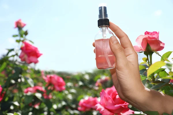 Женщина держит бутылку тонера для лица с эфирным маслом возле розового куста в саду, крупным планом. Пространство для текста — стоковое фото