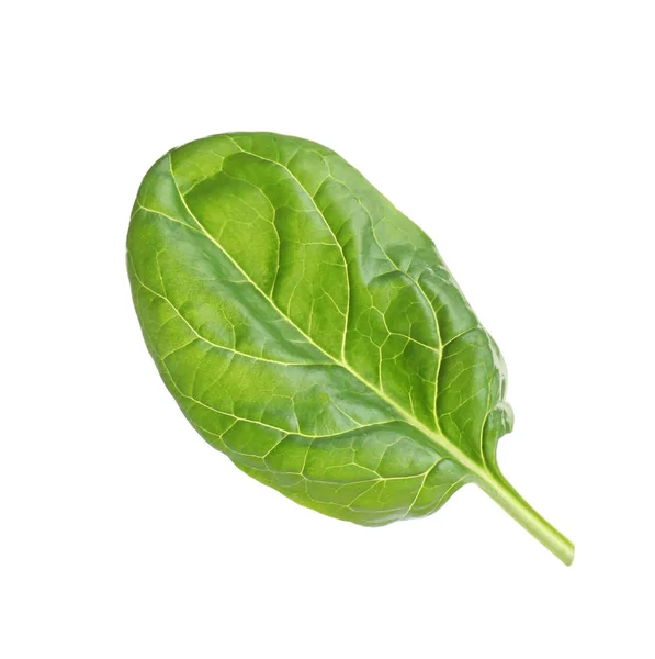 Frisches grünes gesundes Baby-Spinatblatt isoliert auf weiß — Stockfoto