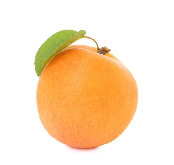 Köstliche reife süße Aprikose mit Blatt auf weißem Hintergrund — Stockfoto
