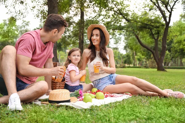 Familie fericită cu picnic în parc în ziua de vară — Fotografie, imagine de stoc