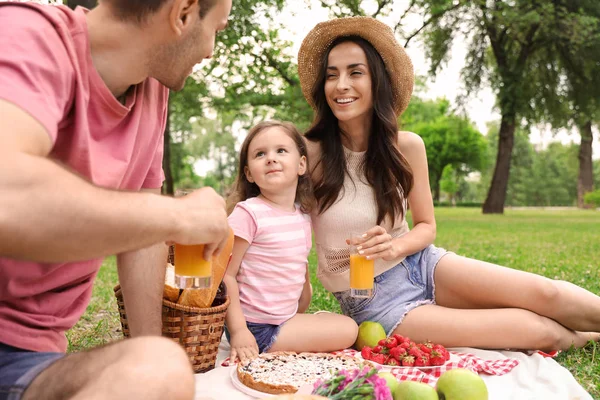 Famiglia felice che fa un picnic nel parco durante la giornata estiva — Foto Stock