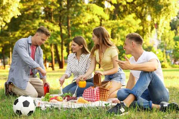 Les jeunes profitent du pique-nique dans le parc le jour d'été — Photo