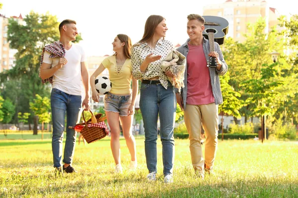 Jóvenes con cesta de picnic en el parque el día de verano — Foto de Stock