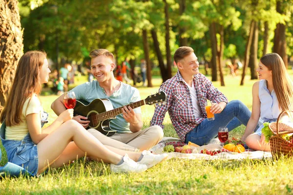 Jóvenes disfrutando de un picnic en el parque el día de verano — Foto de Stock