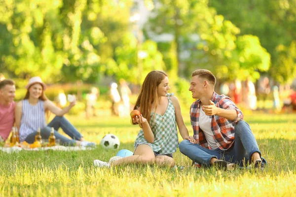 Jóvenes disfrutando de un picnic en el parque el día de verano — Foto de Stock