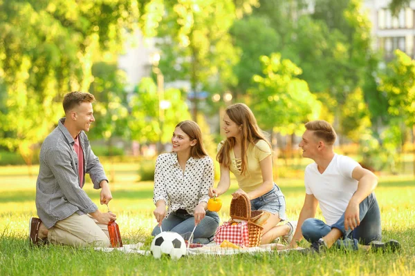 Jóvenes disfrutando de un picnic en el parque el día de verano — Foto de Stock