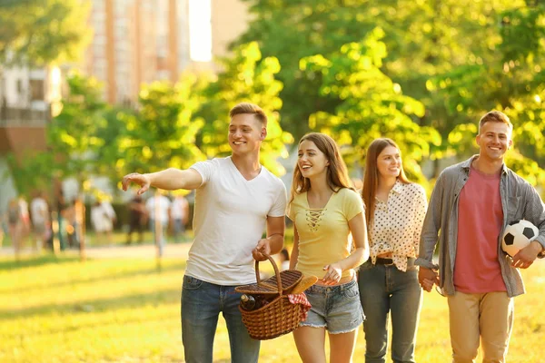 Jóvenes con cesta de picnic en el parque el día de verano — Foto de Stock