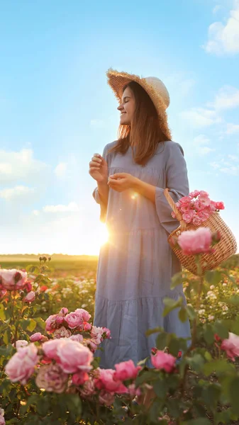 Vrouw met mand van rozen in prachtige bloeiende veld — Stockfoto