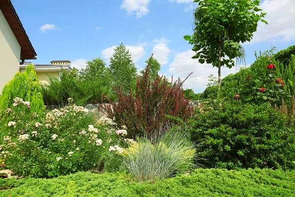 Beautiful green garden near modern house on sunny day — Stock Photo, Image