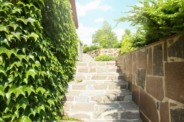 화창한 날에 아름다운 정원과 돌 계단풍경 — 스톡 사진