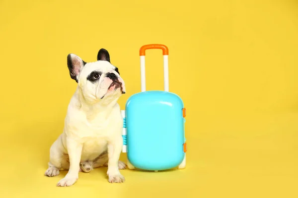 Bulldog francés con maleta pequeña sobre fondo amarillo. Espacio para texto — Foto de Stock