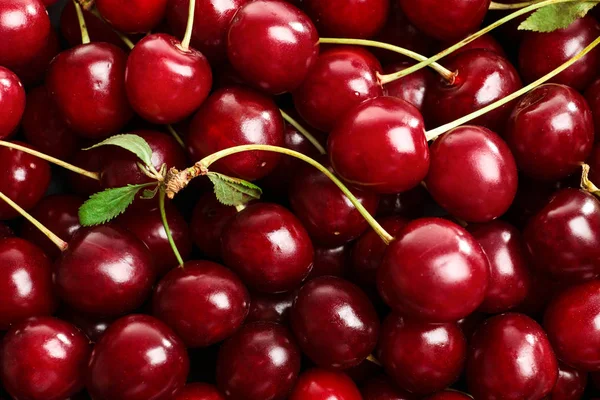 Deliciosas cerezas maduras como fondo, vista de cerca — Foto de Stock