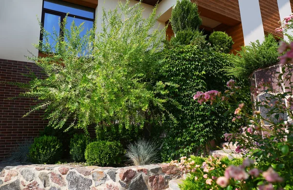 화창한 날에 현대 집 근처 아름다운 정원풍경 — 스톡 사진