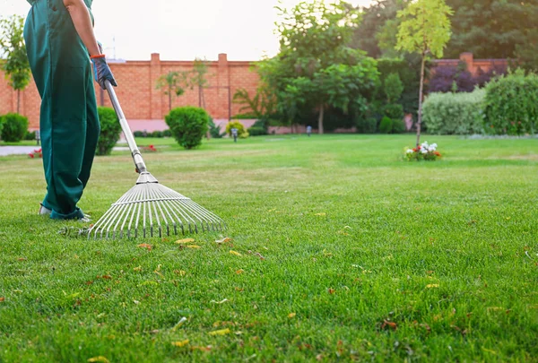 Vrouw woel groen gazon in de achtertuin. Tuinieren in huis — Stockfoto