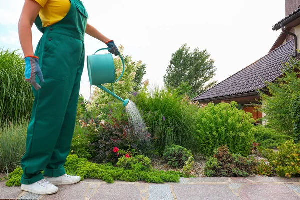Worker watering plant at backyard, closeup. Home gardening — Stock Photo, Image